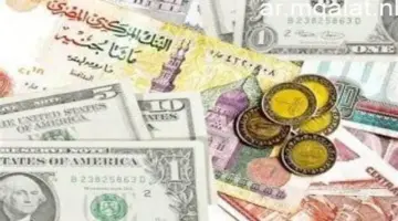 سعر الدولار والعملات الأجنبية اليوم الأحد 26 – 4 – 2026 – مقالات نيوز