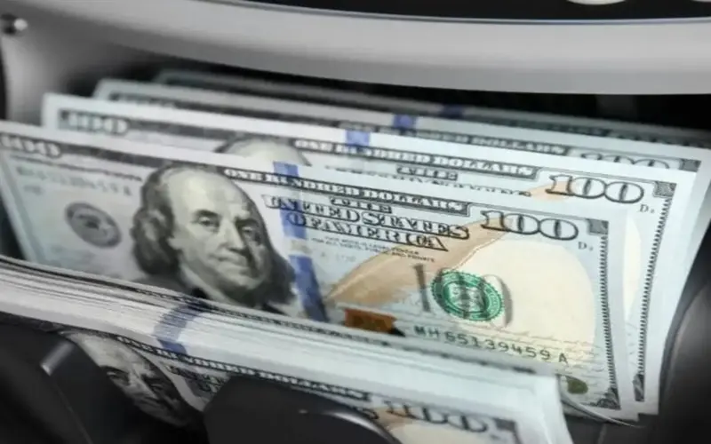 سعر الدولار يهبط 2% أمام الجنيه في البنوك المصرية اليوم – الأسبوع