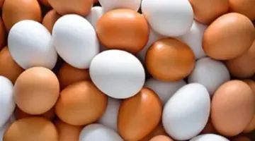 سعر طبق البيض بالقليوبية اليوم الأربعاء 15- 4 – 2026.. الأبيض بـ103 جنيهات