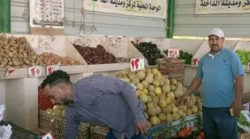 سعر كيلو الطماطم 22,5 جنيه.. أسعار الخضروات والفاكهة بالوادي الجديد اليوم الأربعاء