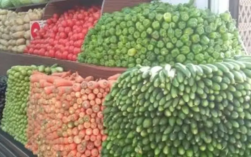 سعر كيلو الطماطم 22,5 جنيهاً.. أسعار الخضراوات والفاكهة بالوادي الجديد اليوم