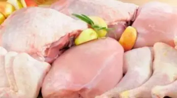 سعر كيلو الفراخ البيضاء للمستهلك اليوم.. وتفاصيل أسعار الصدور والأوراك