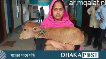 صعود الذهب العالمي بنسبة 1.7% والوصول إلى أعلى مستوى في 4 أسابيع مع ثبات الأسعار في مصر