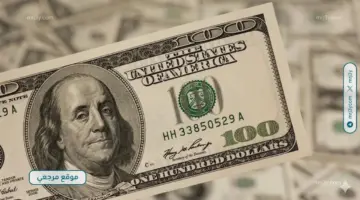 صعود طفيف لسعر الدولار في مصر اليوم الأحد بالبنوك الرسمية