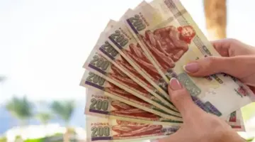 طريقة الاستعلام عن زيادة المعاشات وتفاصيل صرف شهر مايو 2026 عبر موقع الهيئة