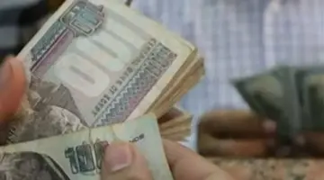 طريقة الاستعلام عن قيمة معاش شهر مايو 2026 عبر موقع الهيئة القومية