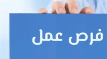طريقة التقديم على وظائف وزارة العمل 2026.. دليلك الكامل للتخصصات والمحافظات