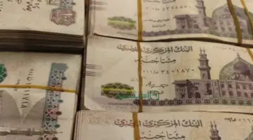 طفرة في عوائد الادخار 2026.. البنك الأهلي يزيد فائدة “البلاتينية” ويطرح “الذهبية” بالدولار واليورو