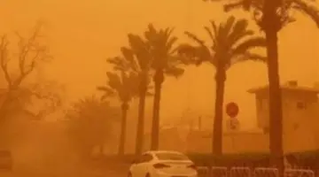 طقس الأربعاء 15 أبريل: الشمس تسطع بقوة قبل قدوم غبار رياح الخماسين