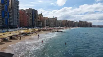 طقس الإسكندرية اليوم.. أمطار ونشاط رياح وأتربة مثارة