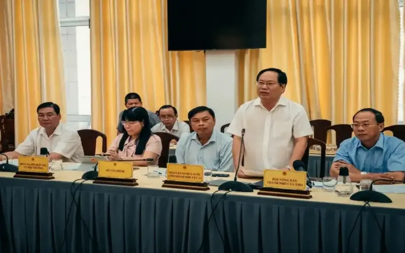 عاجل: القرارات المفاجئة في اجتماع أرز كان ثو – هل ستؤثر على أسعار الأرز في المنطقة؟