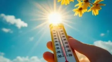 عاجل| ترتيب المحافظات الأكثر برودة والأعلى حرارة اليوم.. مدينة تسجل الـ 8 درجات مئوية