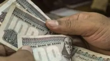 علاوات دورية وحافز إضافي.. خارطة تحسين دخول العاملين بالجهاز الإداري للدولة