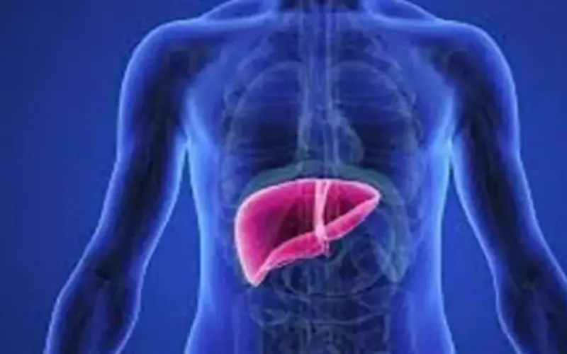 علماء روس يطورون تقنية لحماية الكبد وترميمه ذاتيا