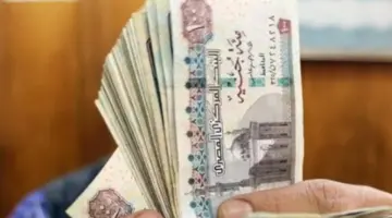 عودة “برنت التأمينات” للعمل.. الهيئة تبيّن خطة استعادة الخدمات الإلكترونية المتوقفة