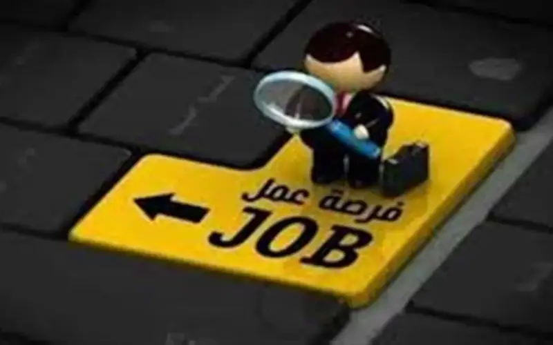 فرص عمل برواتب تصل لـ11 ألف جنيه وتأمينات وزيادة سنوية.. لا تفوت الفرصة