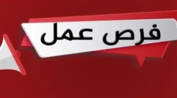 فرص عمل متاحة لـ 1200 شاب بمدينة السادس من أكتوبر (التخصصات والوظائف المطلوبة للتعيين)