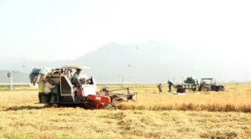 في الربع الأول من عام 2026، تخطت إيرادات ميزانية بلدية فان نينه 187% من الخطة.