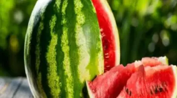 قبل أم بعد الوجبات؟ هذا هو الوقت المثالي لتناول البطيخ إذا كنت ترغب في النحافة