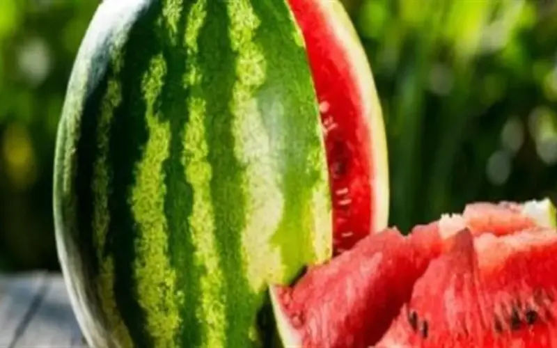 قبل أم بعد الوجبات؟ هذا هو الوقت المثالي لتناول البطيخ إذا كنت ترغب في النحافة
