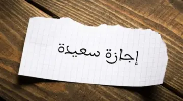 قرار حكومي.. السبت القادم إجازة مدفوعة الأجر للعاملين بالدولة وقطاع الأعمال