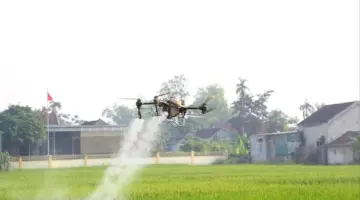 كثفت نغي آن التوجيهات المتعلقة بالإنتاج الزراعي لموسم المحاصيل الصيفية والخريفية لعام 2026.