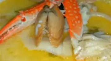 كيفية تحضير شوربة السي فود “الوايت صوص” بخطوات الشيفات المحترفين