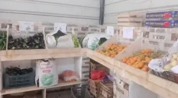 كيلو الطماطم بـ 25 جنيها.. أسعار الخضروات والفاكهة بالوادى الجديد اليوم الأحد