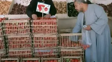 كيلو الطماطم بـ25 جنيها.. تعرف على أسعار الخضروات والفاكهة بالوادي الجديد