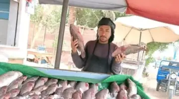 كيلو سمك مفيض باريس بـ35 جنيها.. أسعار الأسماك في أسواق الوادي الجديد