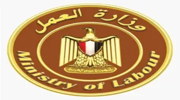 للمؤهلات العليا والمتوسطة.. «العمل» تعلن عن وظائف جديدة للإناث في الإسكندرية