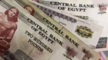 لمستخدمي المحافظ الإلكترونية.. ميزة جديدة لتيسير صرف معاشات مايو 2026 دون زحام