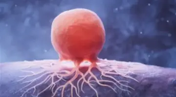 مخاطر مجهولة في منزلك: كيف تسبب أواني الطهي والملابس طفرات جينية سرطانية؟