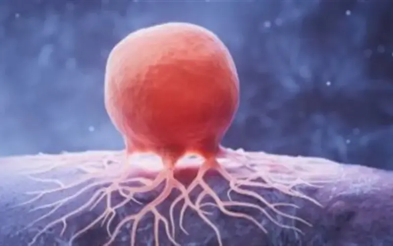 مخاطر مجهولة في منزلك: كيف تسبب أواني الطهي والملابس طفرات جينية سرطانية؟