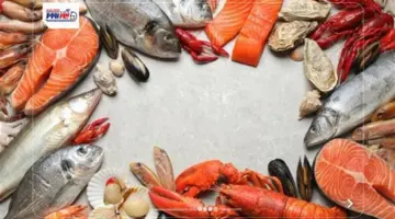 مفاجأة في أسعار السمك اليوم.. البلطي يهبط والجمبري يرتفع داخل الأسواق