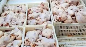 من المزرعة للمستهلك.. ننشر قائمة أسعار الدواجن والبيض الشاملة بمراكز محافظة الشرقية