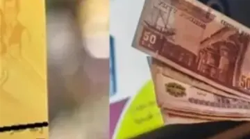 منحة الدعم الإضافي لشهر أبريل 2026: استراتيجية الدولة لتخفيف الأعباء المعيشية عن المواطنين