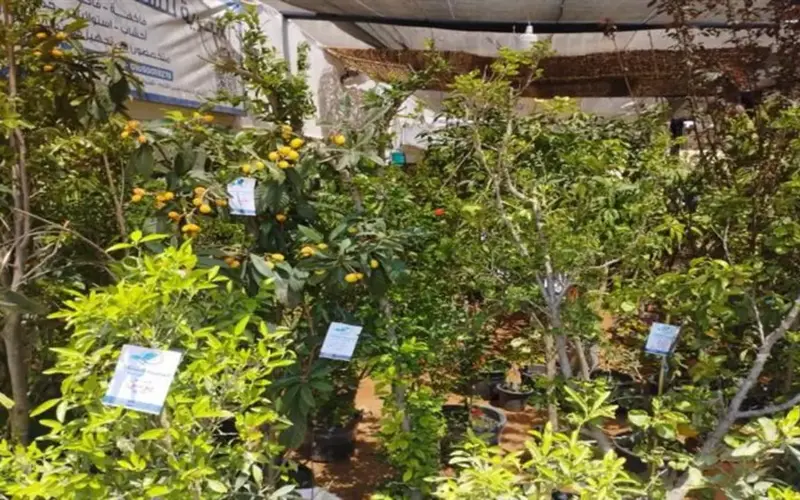 موعد افتتاح معرض الزهور 2026 الرسمي.. كيف تصل إليه؟