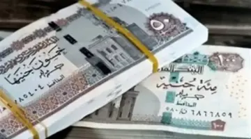 موعد صرف معاشات مايو 2026 في البنوك والمحافظ الإلكترونية وتحذيرات هامة