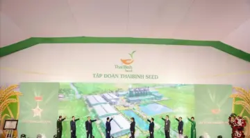 نالت مجموعة ThaiBinh Seed لقب بطل العمل وبدأت في بناء مصنع عالي الجودة لمعالجة الأرز.