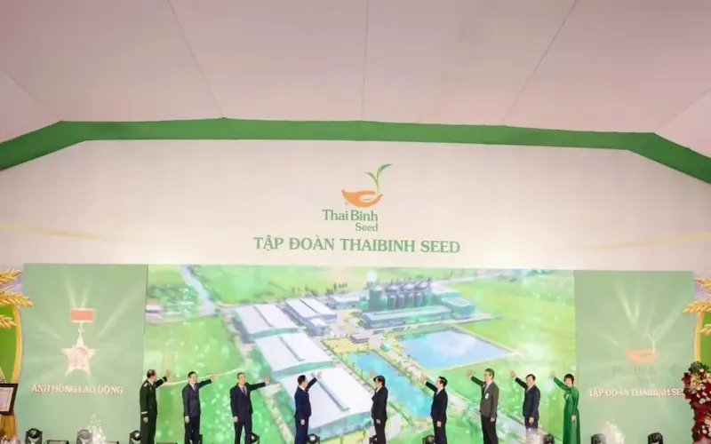 نالت مجموعة ThaiBinh Seed لقب بطل العمل وبدأت في بناء مصنع عالي الجودة لمعالجة الأرز.