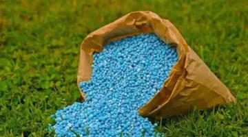 هبوط اليوريا المخصوص وارتفاع العادي، أسعار الأسمدة اليوم في الأسواق