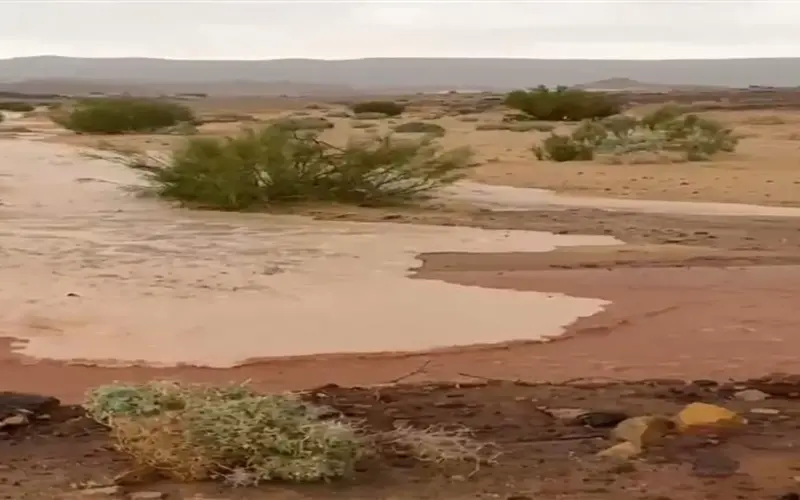هطول أمطار على جنوب الصعيد وسلاسل جبال البحر الأحمر.. تستمر حتى الصباح