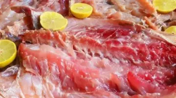 هل شم النسيم حرام؟ إليك الأحكام الشرعية لتناول الفسيخ والرنجة والتنزه في الربيع