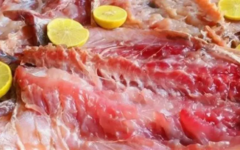 هل شم النسيم حرام؟ إليك الأحكام الشرعية لتناول الفسيخ والرنجة والتنزه في الربيع