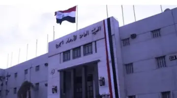 هيئة الأرصاد المصرية: نشاط للرياح المثيرة للرمال والأتربة على السواحل الغربية بدءًا من يوم الاثنين
