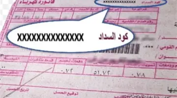 وداعًا للطوابير.. كيف تدفع فاتورة الكهرباء عبر المحافظ البنكية وشركات الاتصالات؟