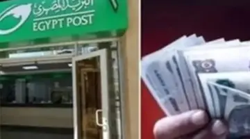 وزارة التضامن تُعلن شروط استمرار دعم “تكافل وكرامة” وتفعيل ميزة التظلم الإلكتروني