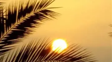 وقت الشروق وأحكام صلاة الإشراق: تفاصيل يوم الثلاثاء 28 أبريل