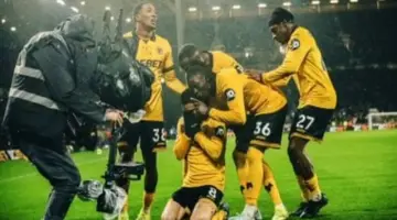 وولفرهامبتون أول الهابطين رسمياً من الدوري الإنجليزي إلى التشامبيونشيب